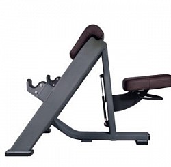 ARAM CURL BENCH