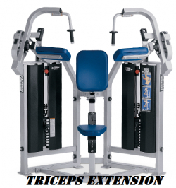 Triceps Extension