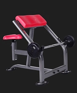 Biceps bench