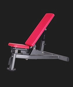 Adjustable incline & flat bench