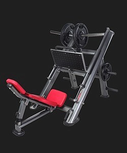 Leg press 45dgree  (b)