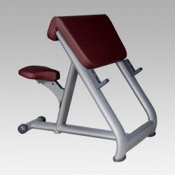 Biceps free bench 