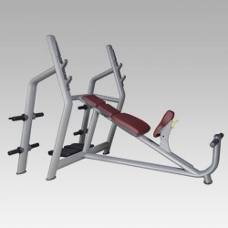 Olympic decline bench press